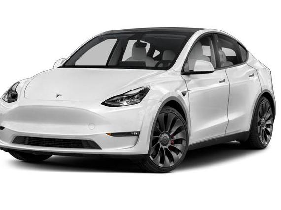 TESLA MODEL Y 2023 7SAYGDEE7PF802098 image